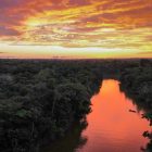 Parco Nazionale Naturale Amacayacu: nella selva amazzonica della Colombia Parque Nacional Amacayacu