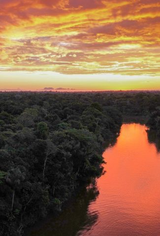 Parque Nacional Amacayacu